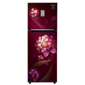 Double door refrigerator check-up (non-inverter)